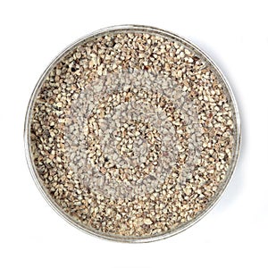 Spice Top View â€“ White Pepper Powder â€“Â Pepe bianco macinato